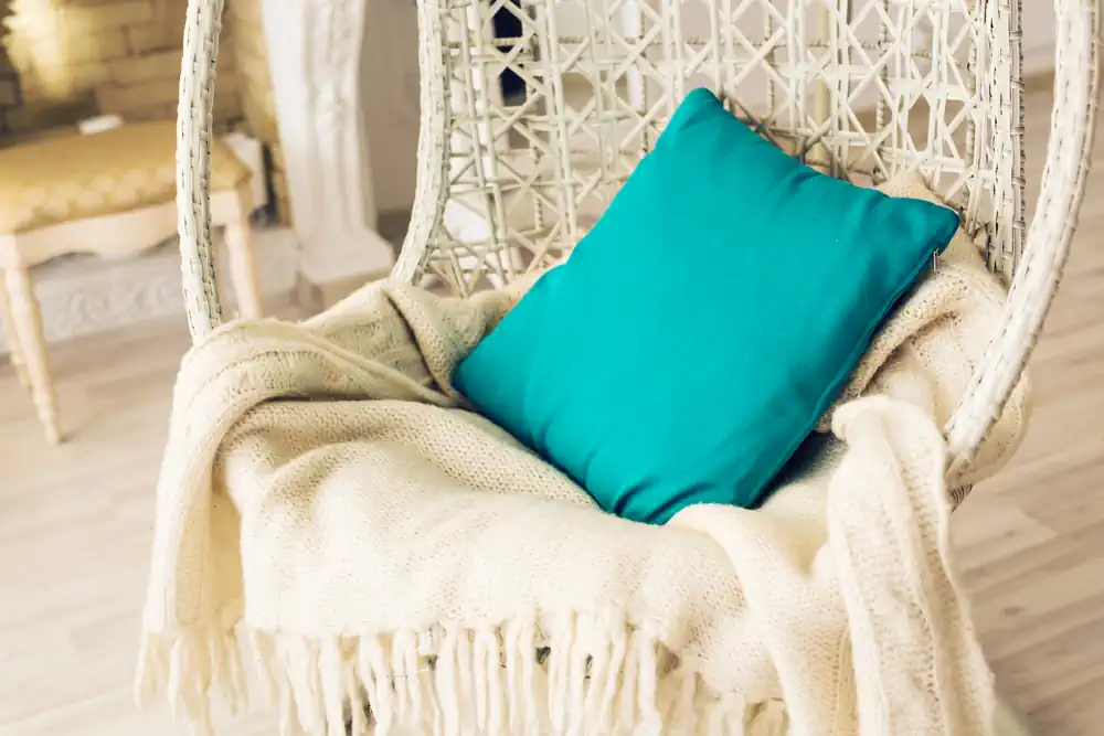 Throw Pillow and Throw Blanket