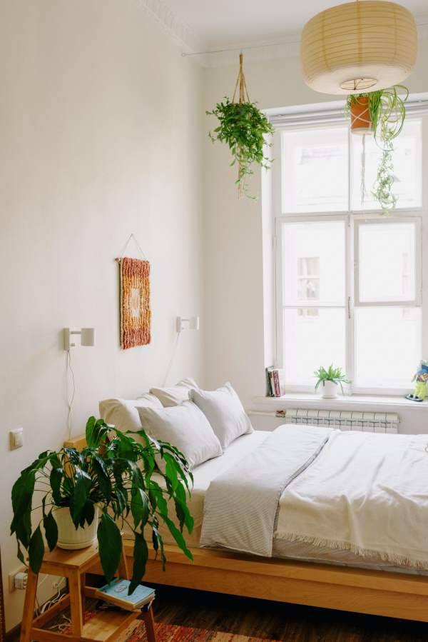 Bedroom with Plants